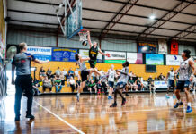 NBL1 stars return to Portland