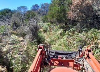 Mowing to maintain the track