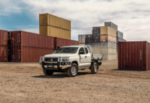 Triton back in work gear